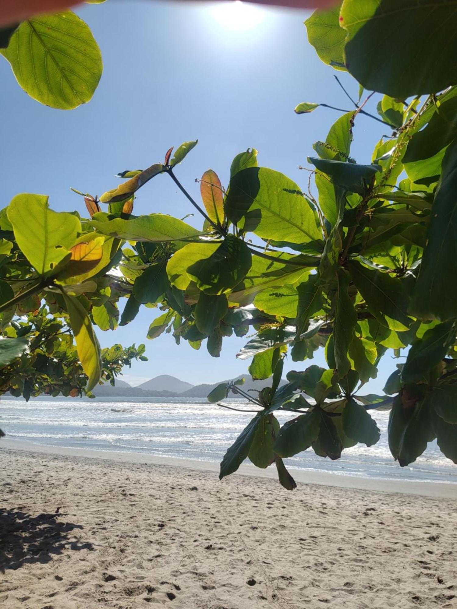 Ale E O Mar Casa de hóspedes