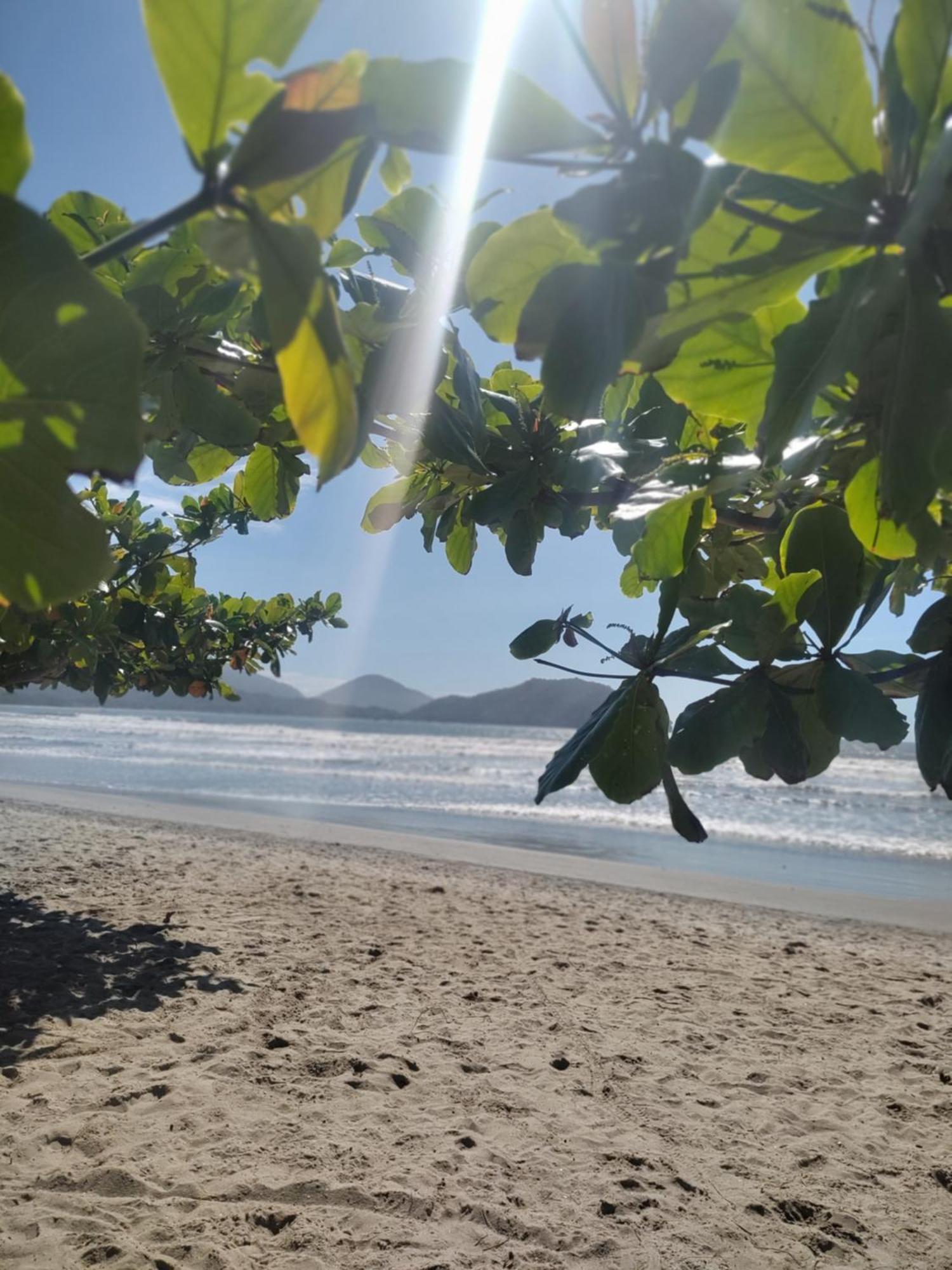 Ale E O Mar *
